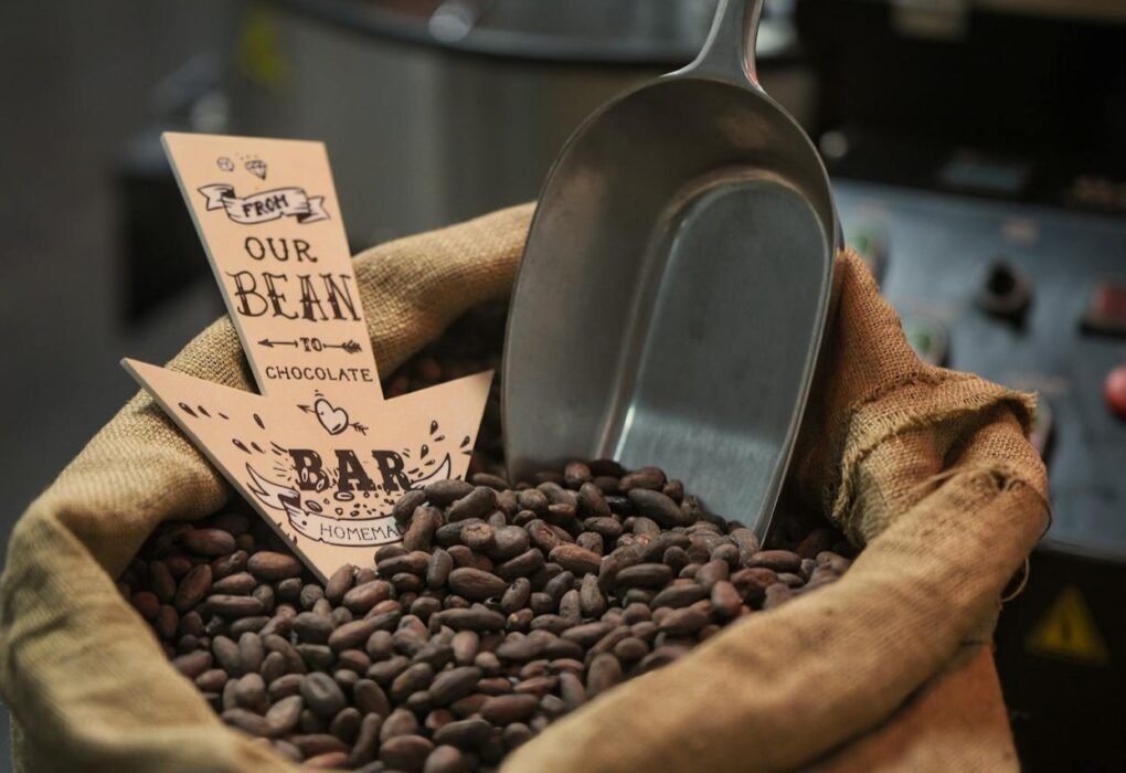 O que é chocolate bean to bar