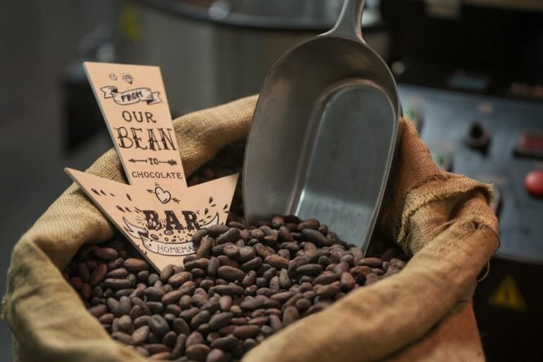 O que é chocolate bean to bar