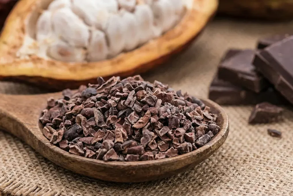 O que é nibs de cacau. Uma colher de madeira cheia de nibs de cacau em frente a um fruto de cacau aberto e ao lado de uma pequena barra de chocolate.