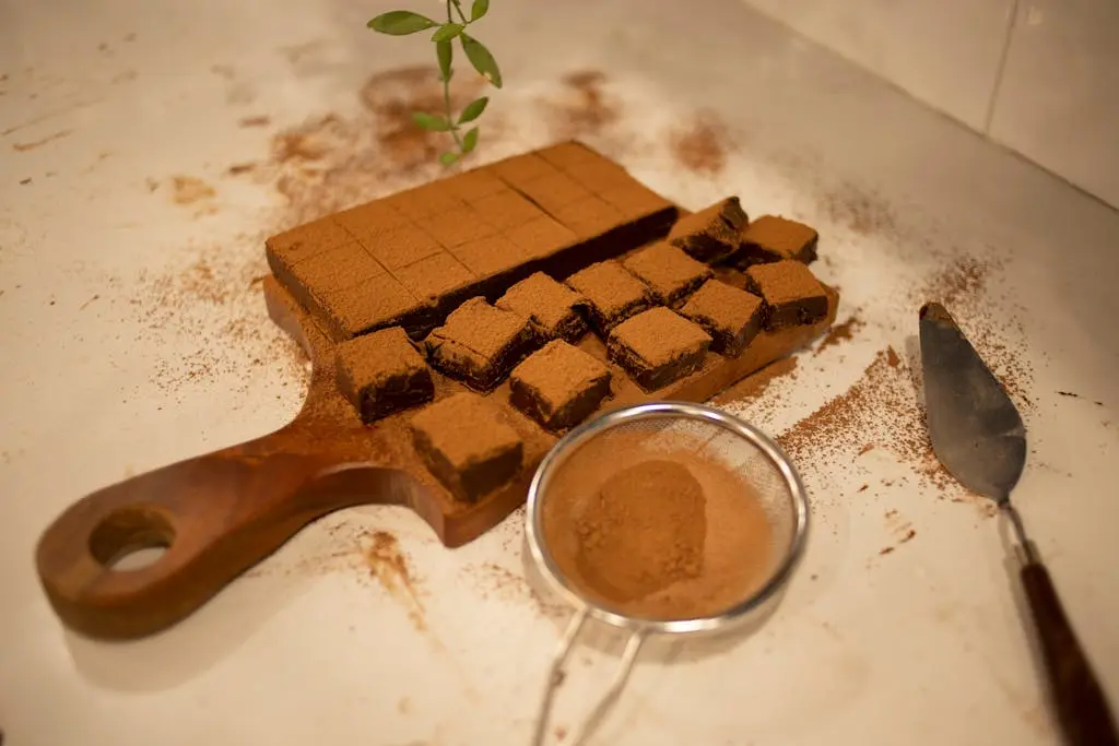 Fudge de chocolate coberto com chocolate em pó