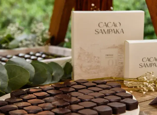 Cacau Sampaka